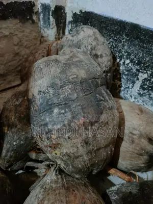 Coconut - নারিকেল