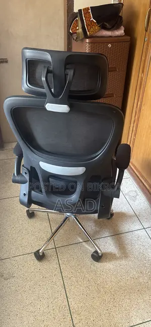 Ergonomic Chair