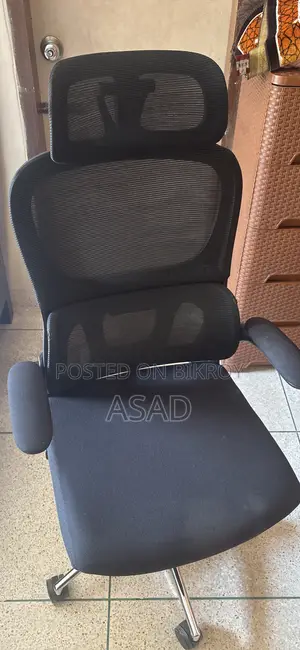 Ergonomic Chair