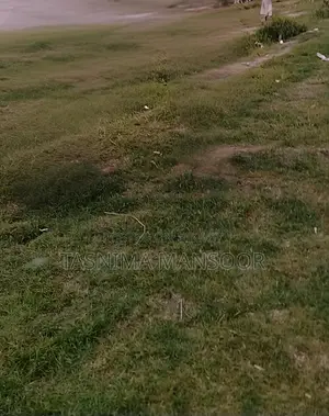 Land for Sale near Jamuna Bridge / Land for Sale in Sirajganj