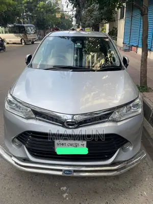 Toyota Corolla Fielder 2017 Silver