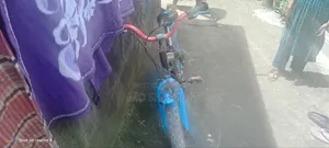 র‌্যালি মডেল ৩