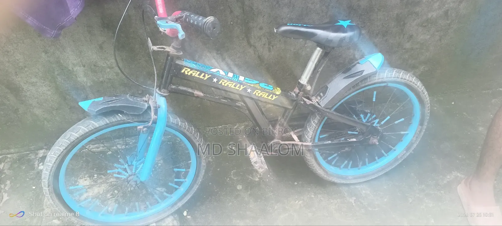 র‌্যালি মডেল ৩