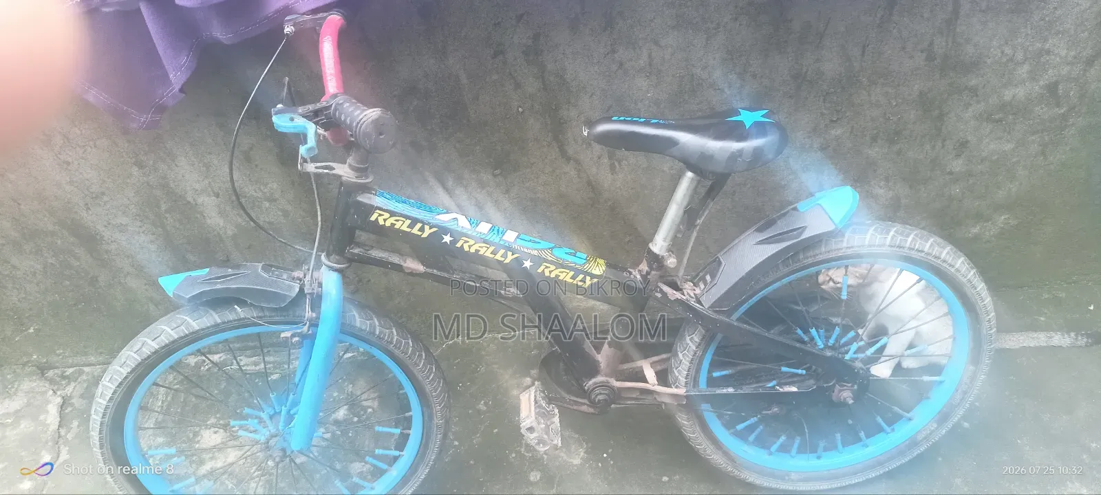 র‌্যালি মডেল ৩