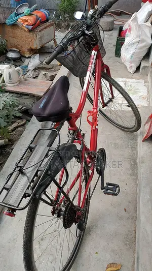 Duranta Avenger Bicycle
