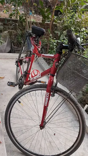 Duranta Avenger Bicycle