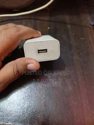 Mi 33W Charger Adaptor