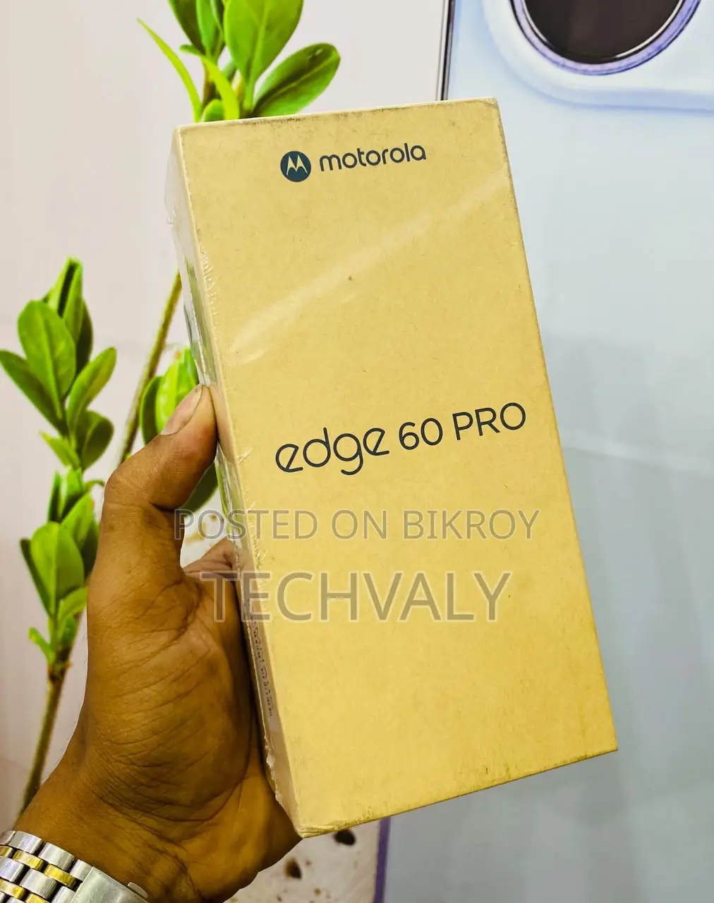 নতুন মোটোলোরো এজ ৬০ প্রো ২৫৬ জিবি