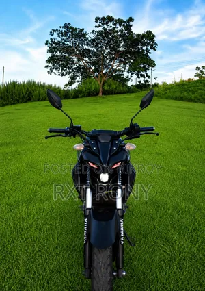 ইয়ামাহা এমটি-১৫ ২০২২ কালো
