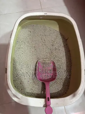 বিড়ালের সামগ্রী