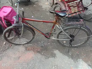 সাধারণ সাইকেল