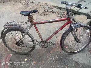 Normal Bicycle