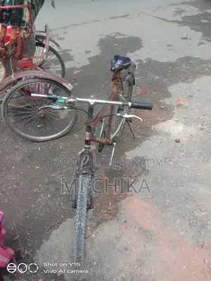 Normal Bicycle