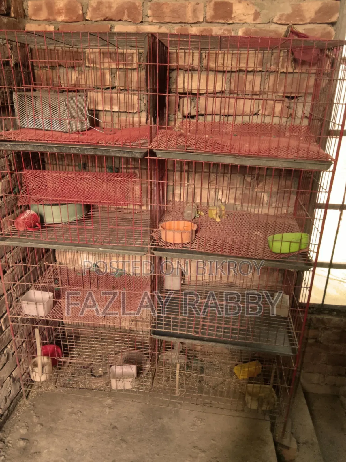 ৮ কম্পার্টমেন্টের লোহার মুরগির খাঁচা