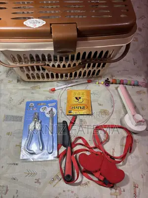 বিড়ালের সামগ্রী