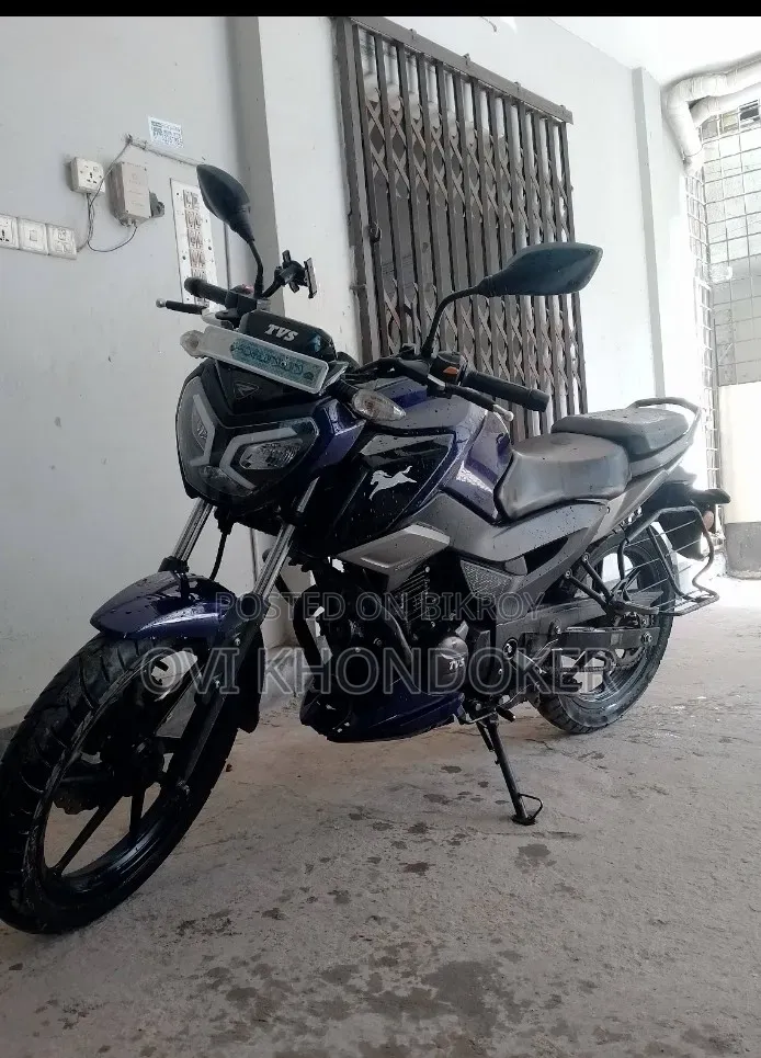 টিভিএস রাইডার ১২৫ ২০২৩ নীল