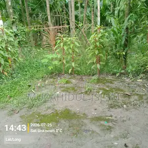 Land for Sale in Borhanuddin Municipality, Bhola