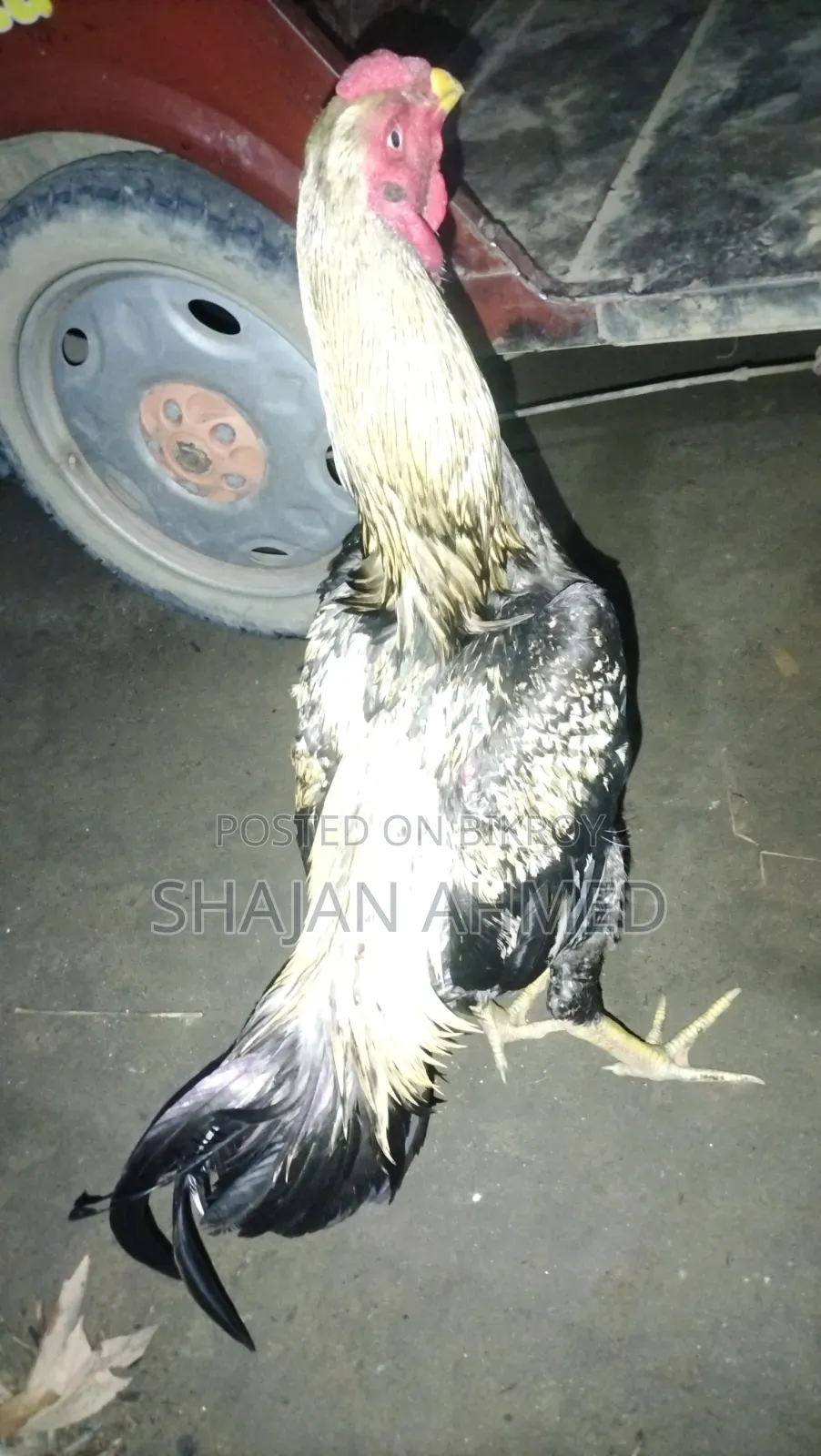 Sonali Chicken