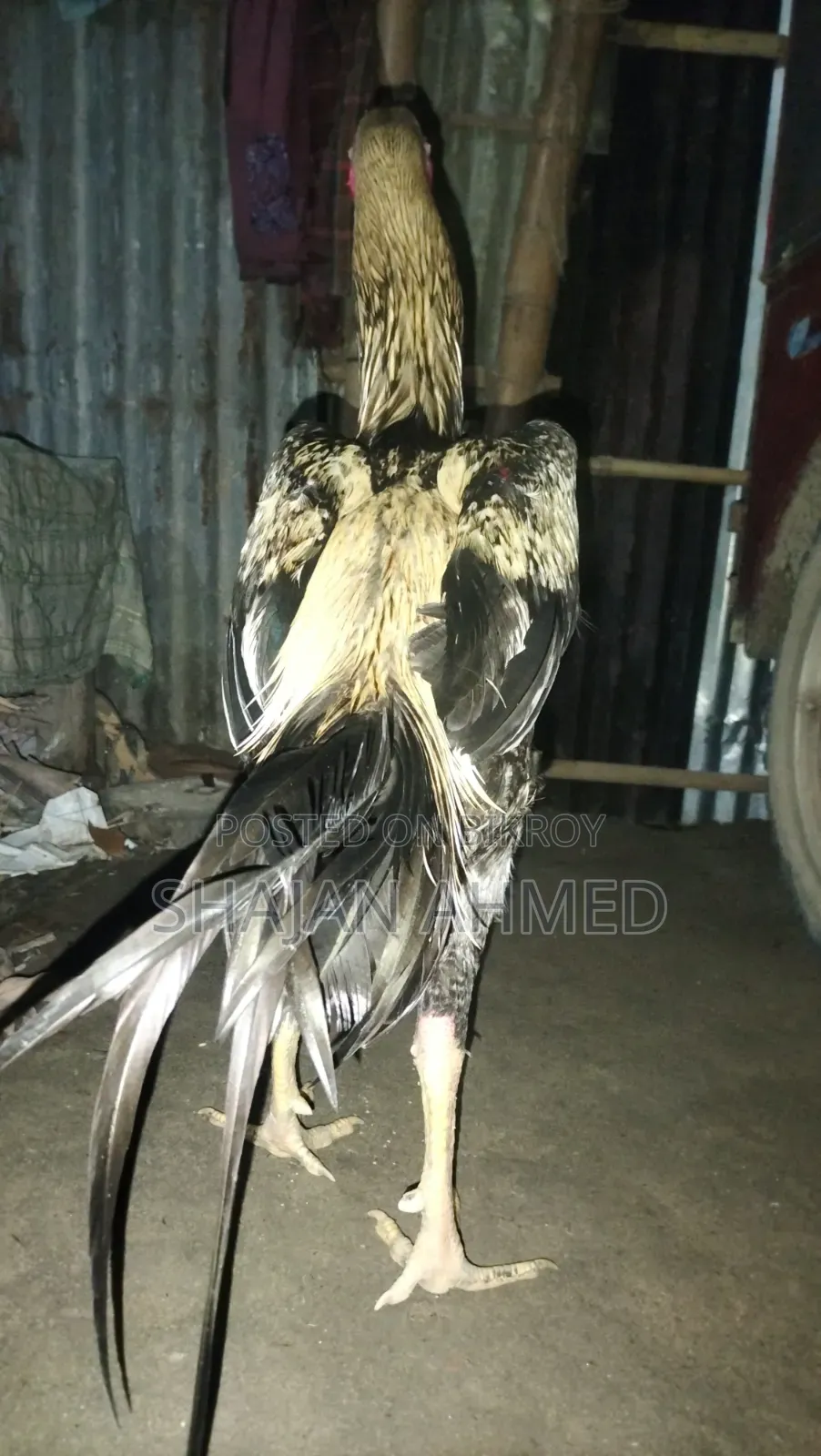 Sonali Chicken