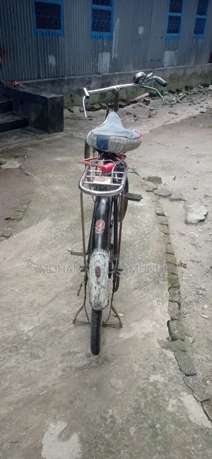 চায়না ফনিক্স
