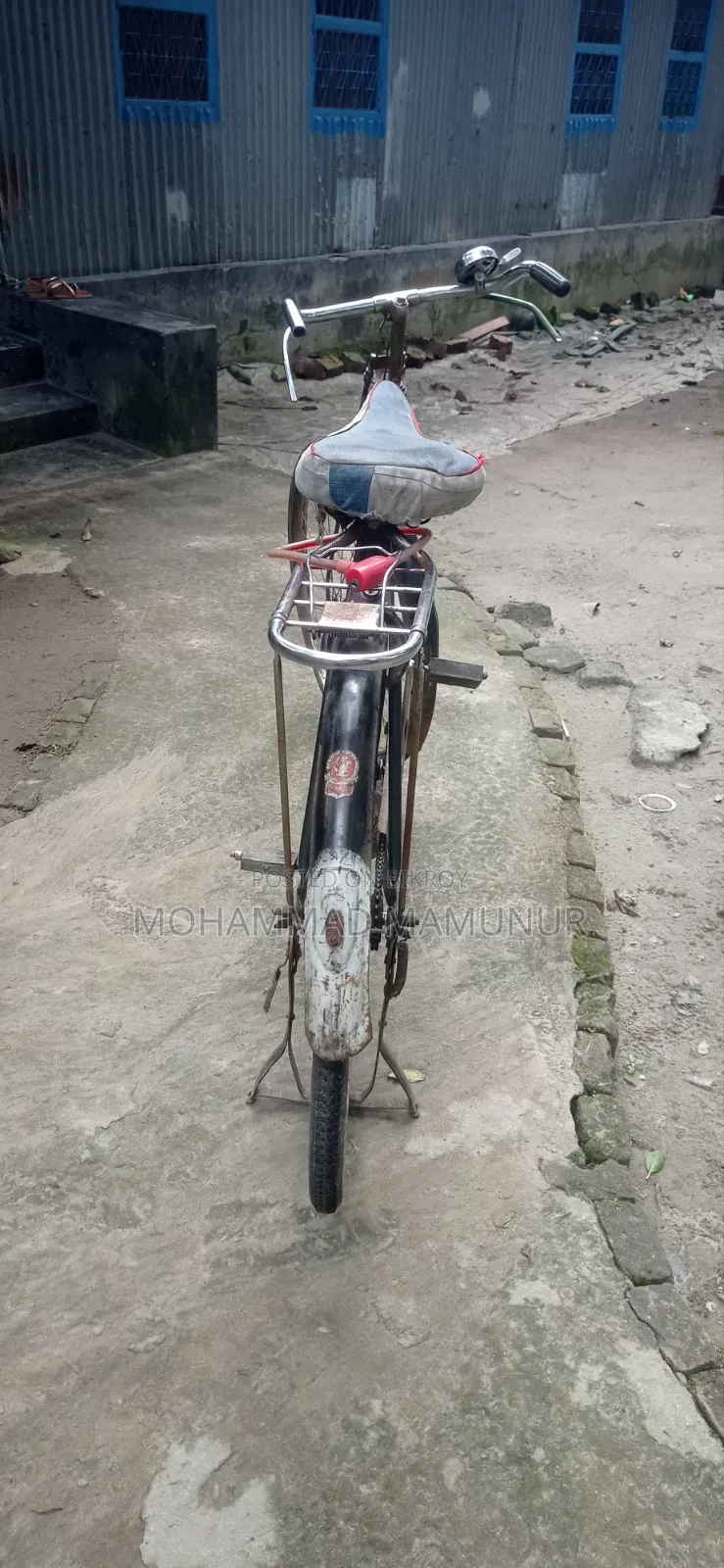 চায়না ফনিক্স