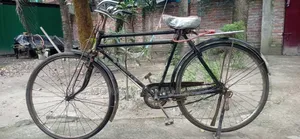 চায়না ফনিক্স
