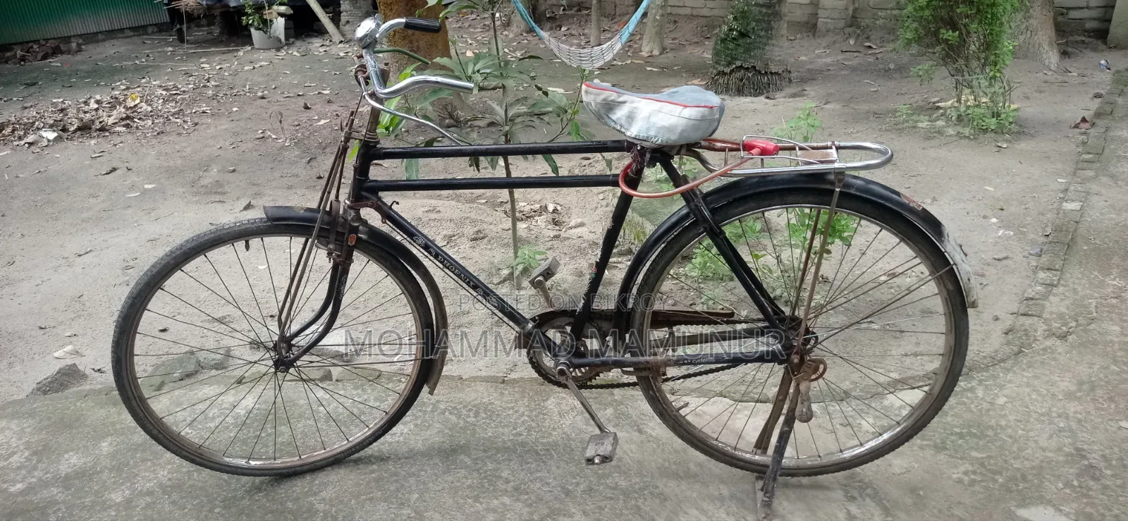 চায়না ফনিক্স