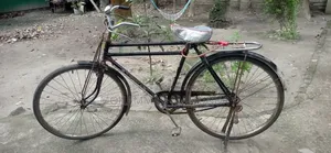 চায়না ফনিক্স