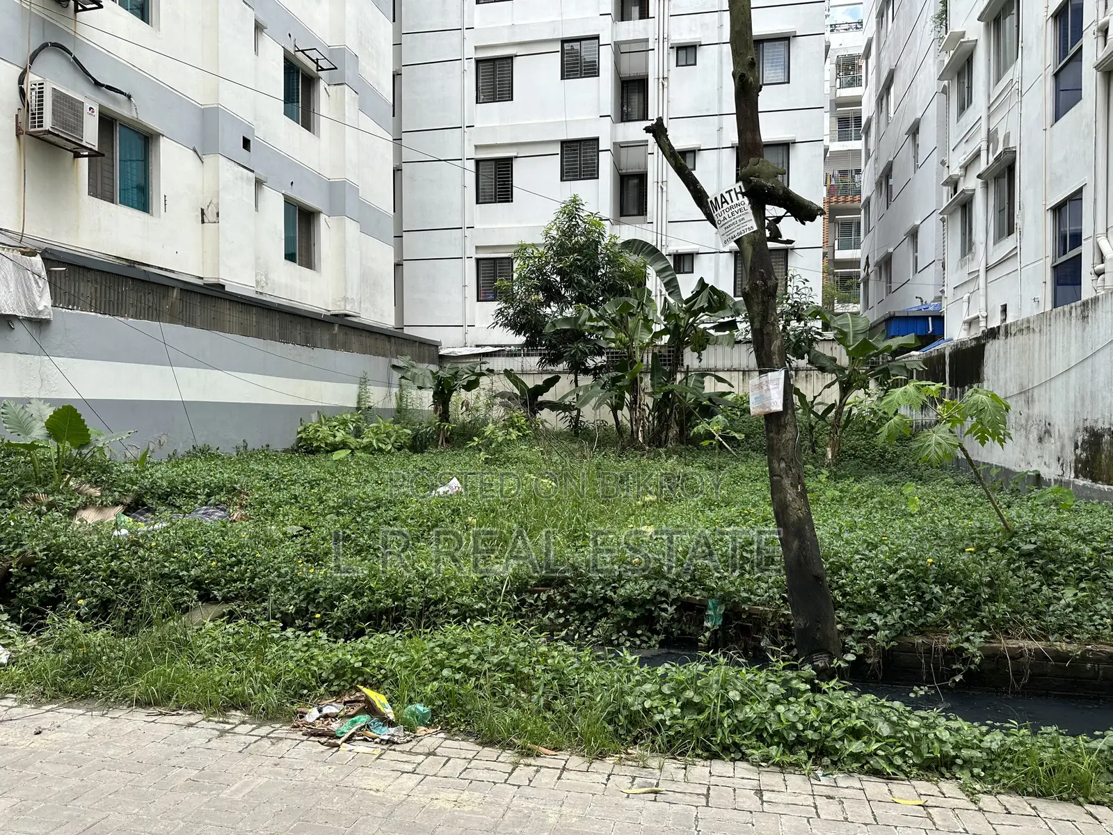 ব্লক-জি, ৩ কাঠা, দক্ষিণমুখী, বসুন্ধরা আ/এ,