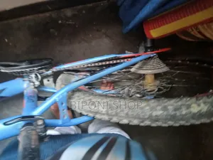 Avon Bicycle