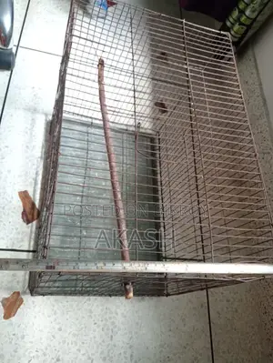 A bird cage will be sold at a low price