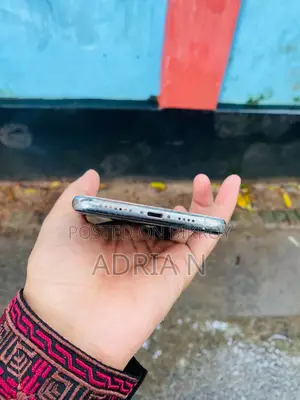 অ্যাপল আইফোন ১১ প্রো ম্যাক্স ২৫৬ জিবি গোল্ড