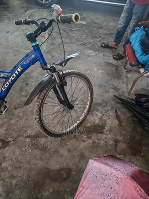 সাইকেল কোয়োট
