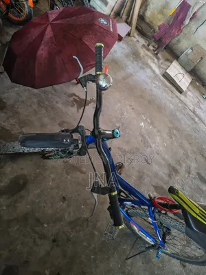 সাইকেল কোয়োট