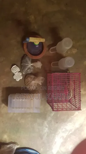 ছবিতে যা দেখতে পারতেছেন বিক্রি হবে ঠিকানা পূর্ব মেরুল মডেল টাউন