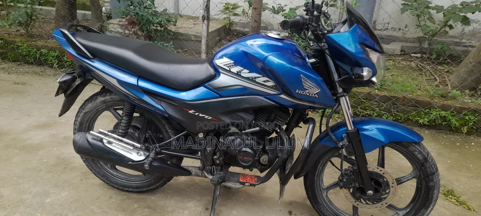 হোন্ডা লিভো ২০২১ ব্লু