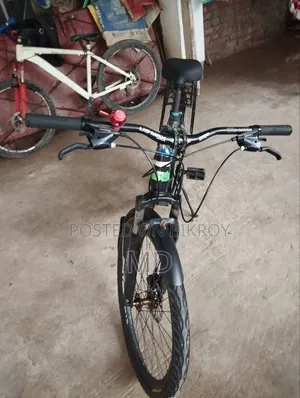 Foxster Cycle