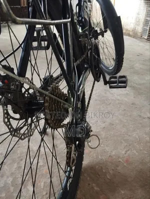 Foxster Cycle