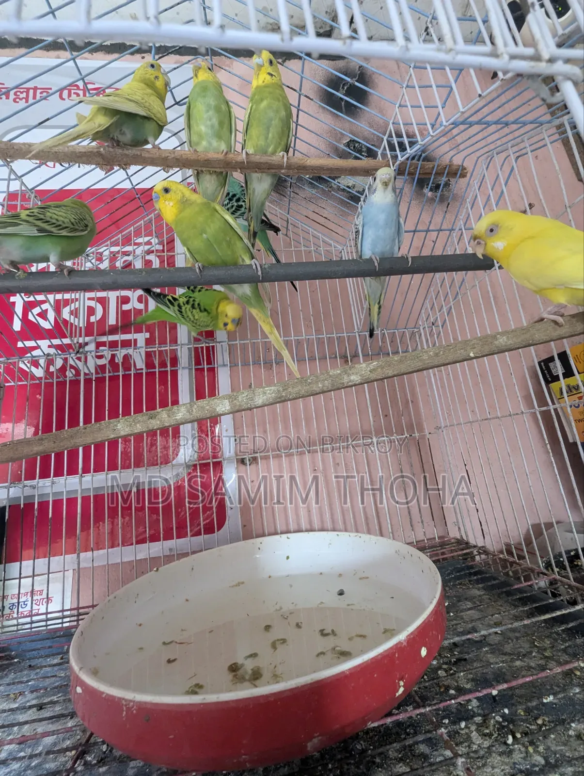 ইমারজেন্সি বিক্রি