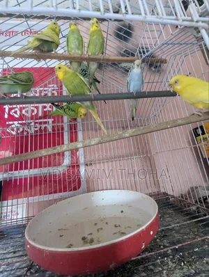 ইমারজেন্সি বিক্রি