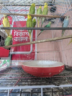 ইমারজেন্সি বিক্রি