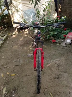 কোর বাইসাইকেল