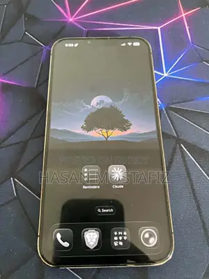 Apple iPhone 13 Pro Max 256 GB Gray