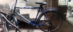 Neon City Cycle