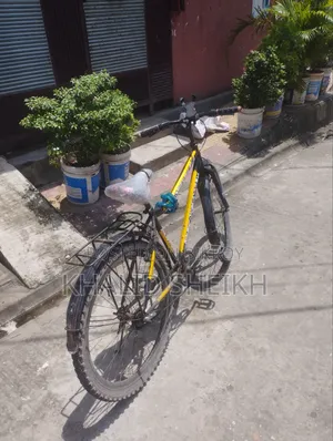 সাকেল একদম ঠিক আছে