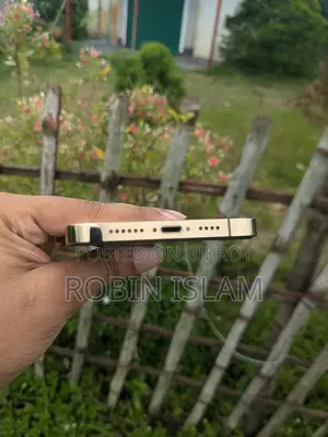 অ্যাপল আইফোন ১২ প্রো ম্যাক্স ১২৮ জিবি গোল্ড