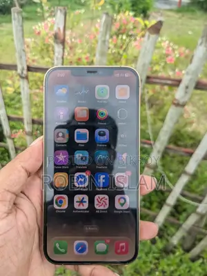 অ্যাপল আইফোন ১২ প্রো ম্যাক্স ১২৮ জিবি গোল্ড