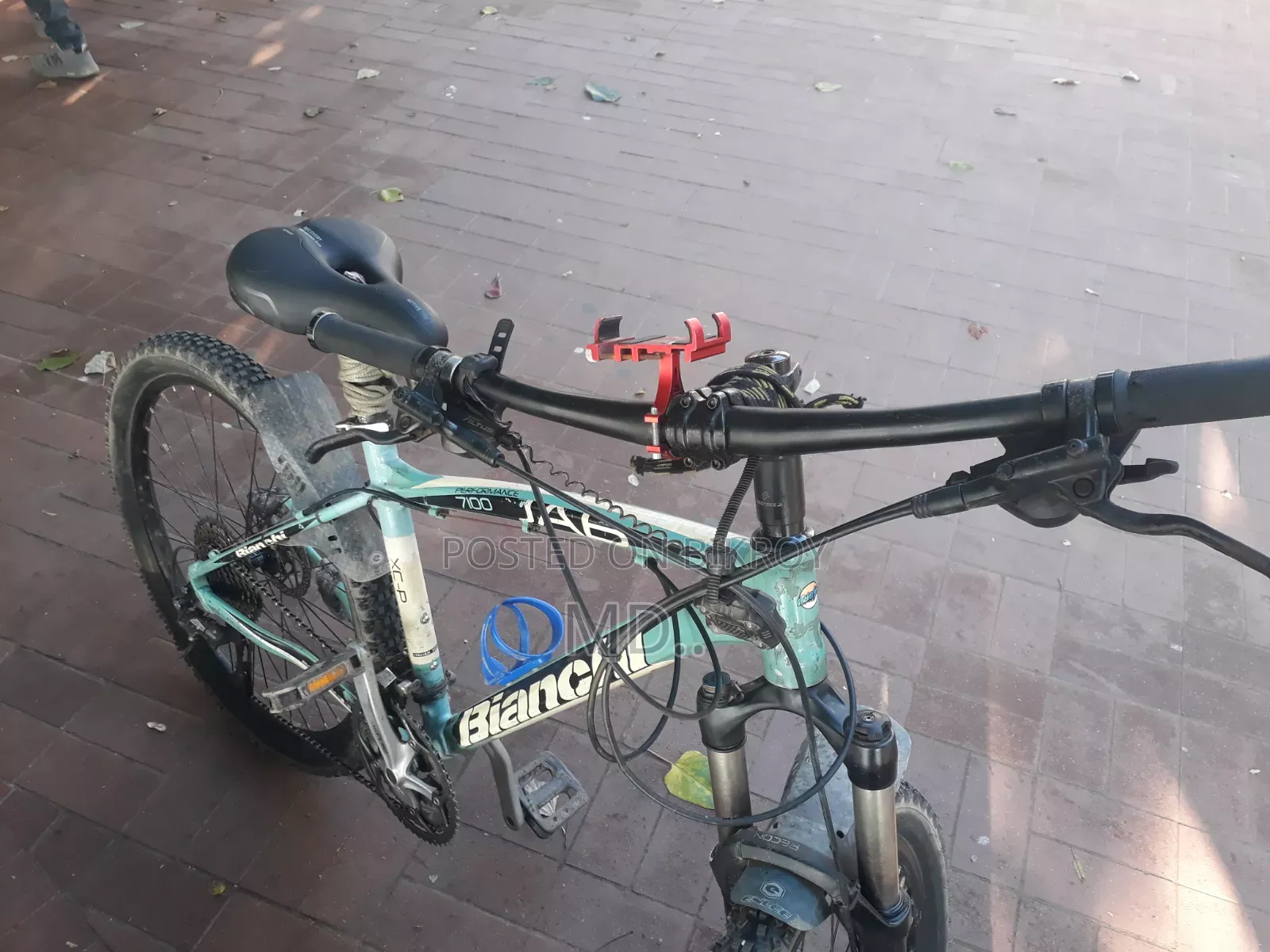 Cycle for Sale