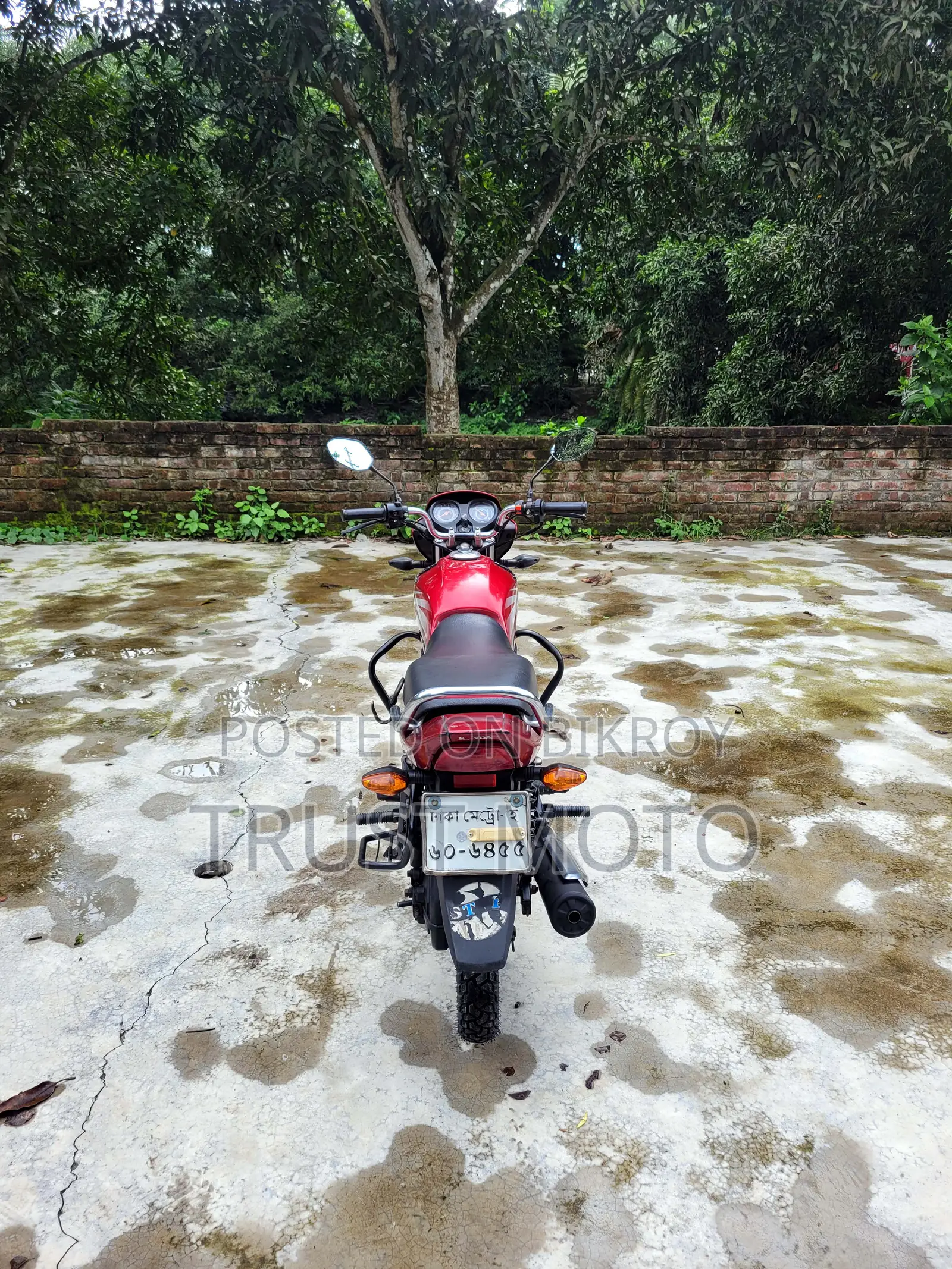 হোন্ডা ড্রিম নিও ২০১৯ লাল
