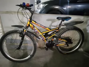 সাইকেলটা দেখতে নতুনের মত